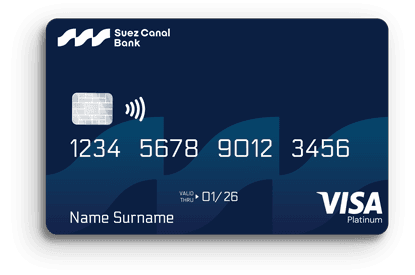 Visa Platinum Credit Card